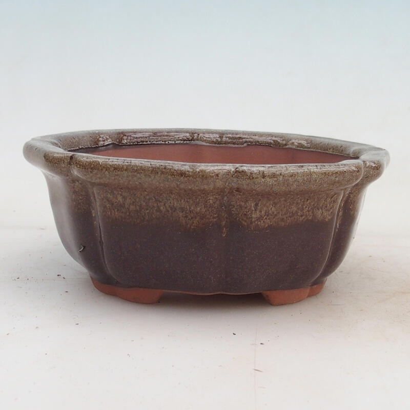 Bonsai bowl 14 x 14 x 5.5 cm, color brown