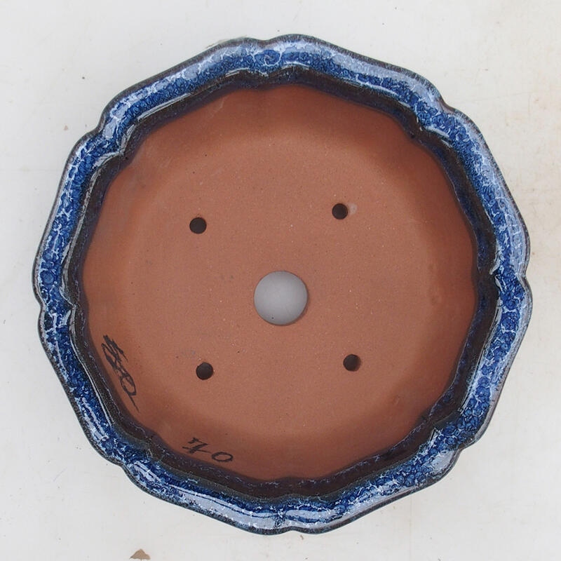 Bonsai bowl 14 x 14 x 5.5 cm, color blue