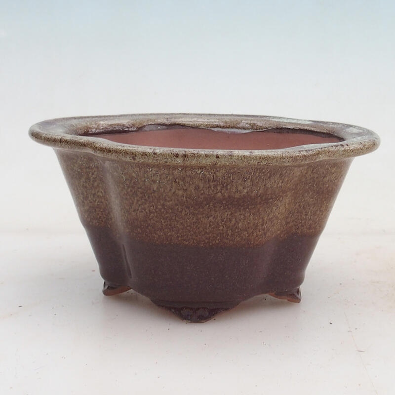 Bonsai bowl 15.5 x 13 x 7.5 cm, color brown