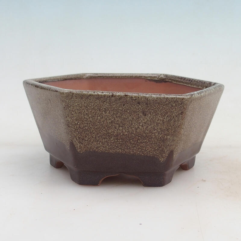 Bonsai bowl 15.5 x 14.5 x 7 cm, wine color