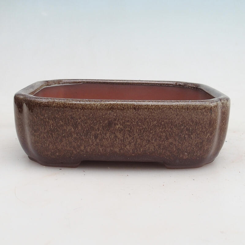 Bonsai bowl 15 x 13 x 5 cm, color brown