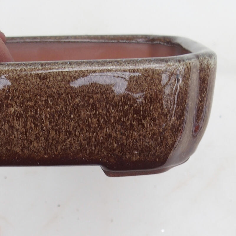 Bonsai bowl 15 x 13 x 5 cm, color brown