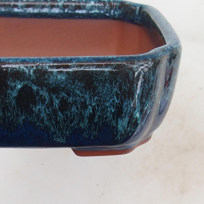 Bonsai bowl 15 x 13 x 5 cm, color blue-white