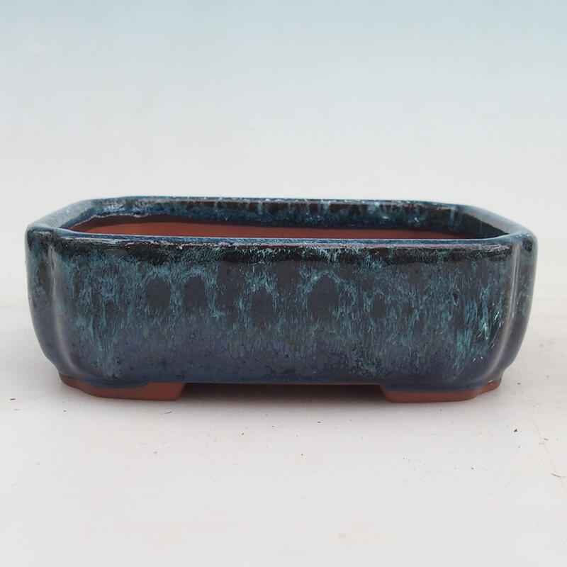 Bonsai bowl 15 x 13 x 5 cm, color blue-white