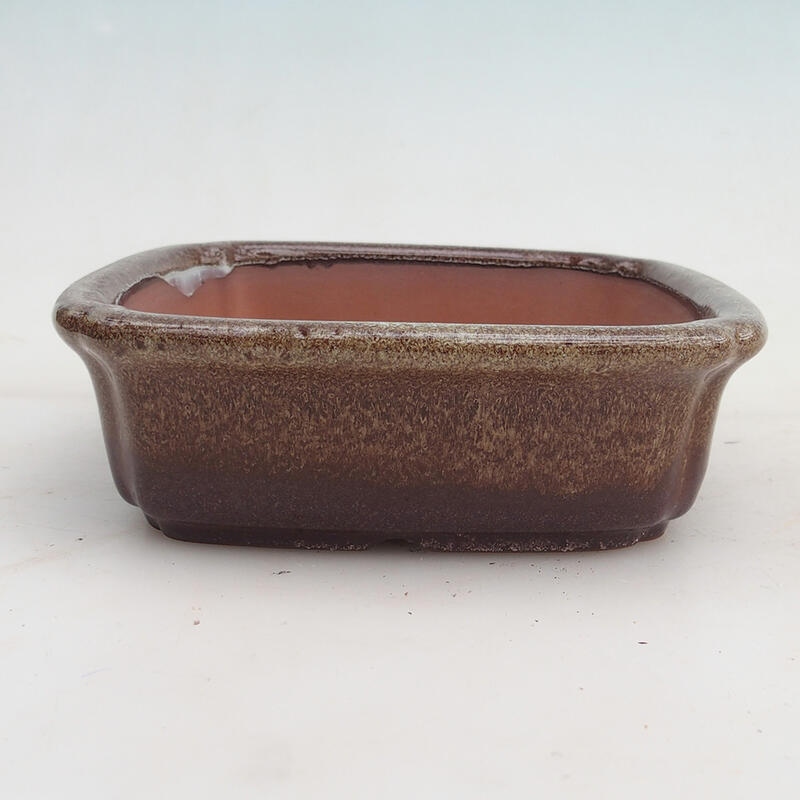 Bonsai bowl 15 x 15 x 4.5 x cm, color burgundy