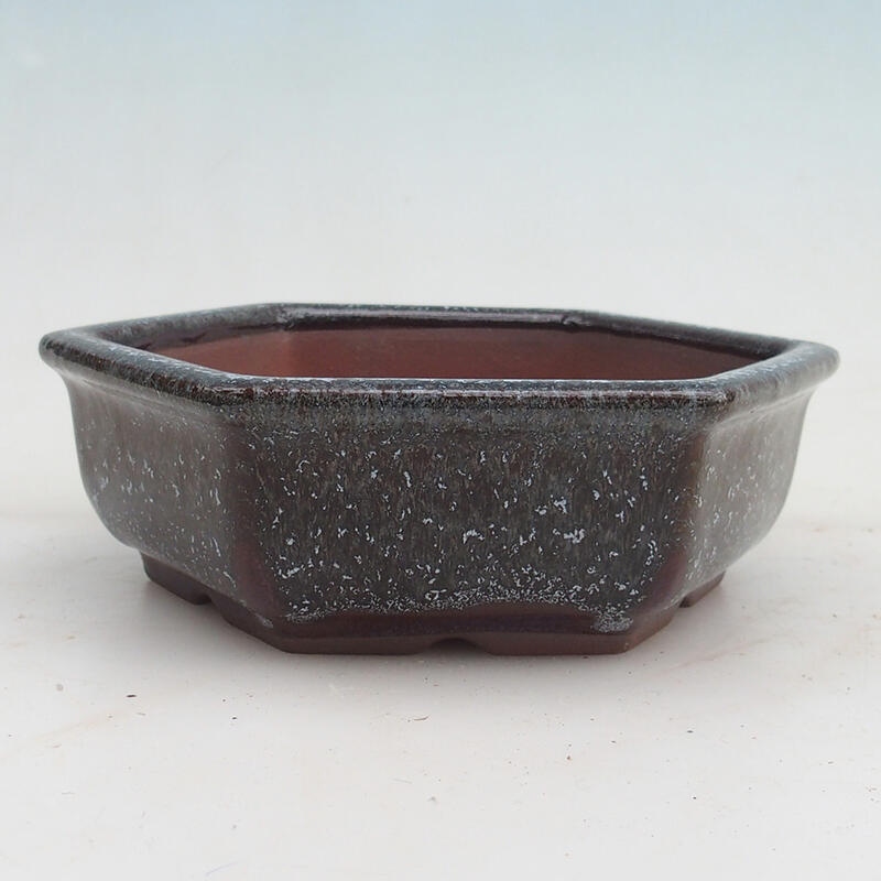 Bonsai bowl 16 x 14 x 5 cm, wine color