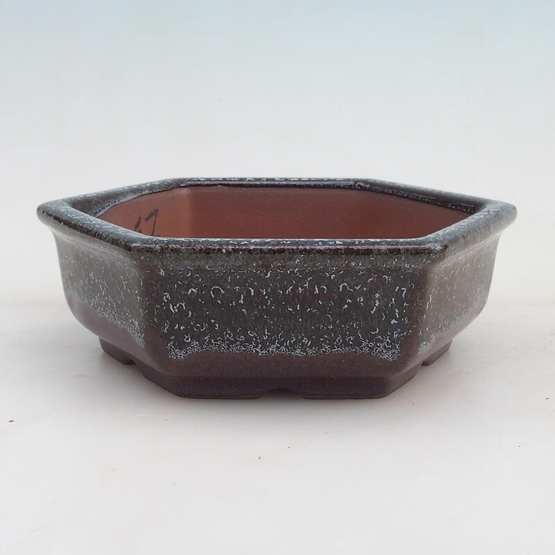 Bonsai bowl 16 x 14 x 5 cm, wine color