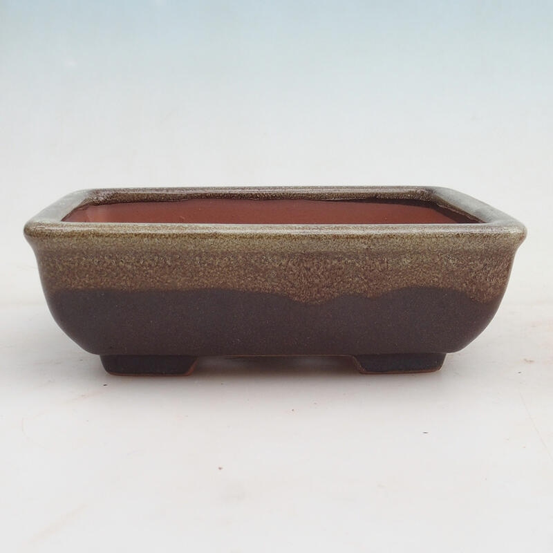 Bonsai bowl 17.5 x 13 x 5.5 cm, wine color