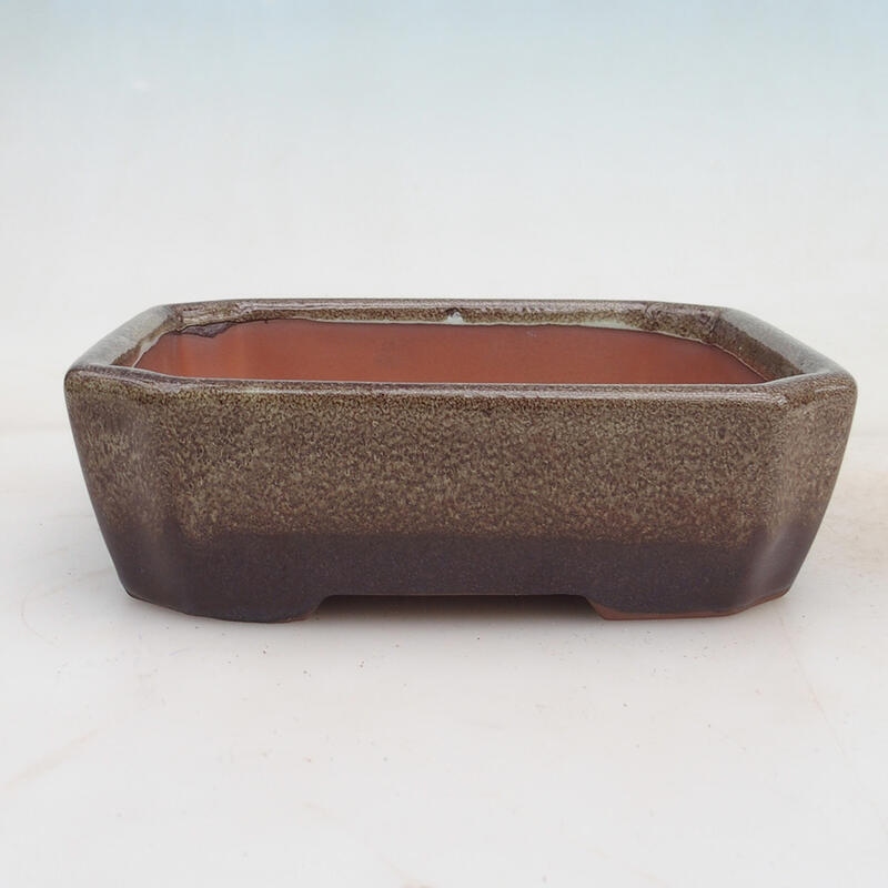 Bonsai bowl 17 x 14 x 5 cm, color brown