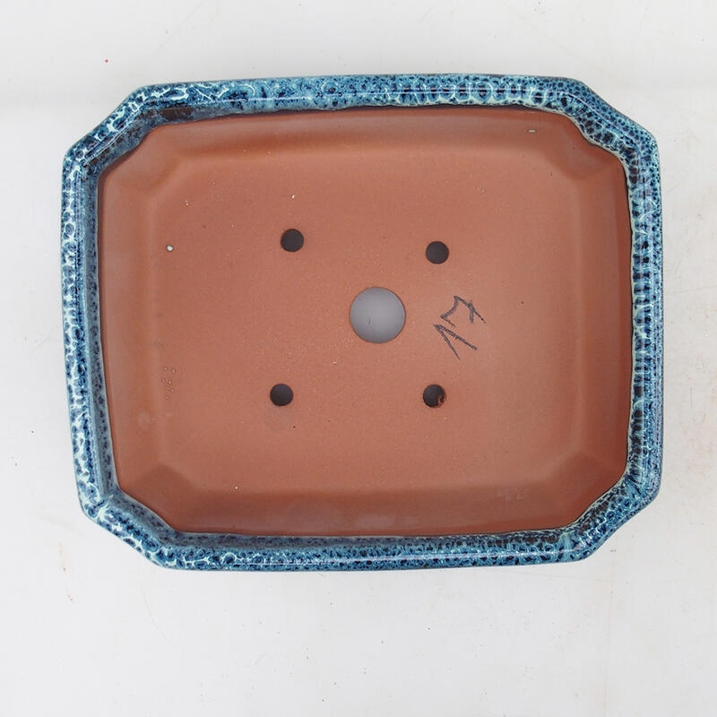 Bonsai bowl 17 x 14 x 5 cm, color blue-white