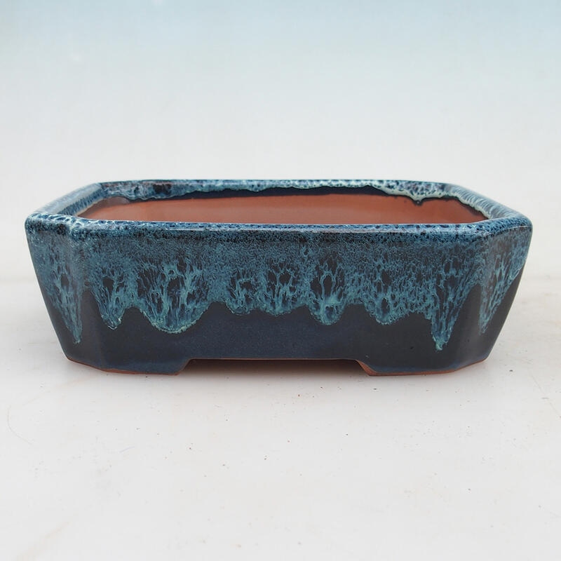 Bonsai bowl 17 x 14 x 5 cm, color blue-white