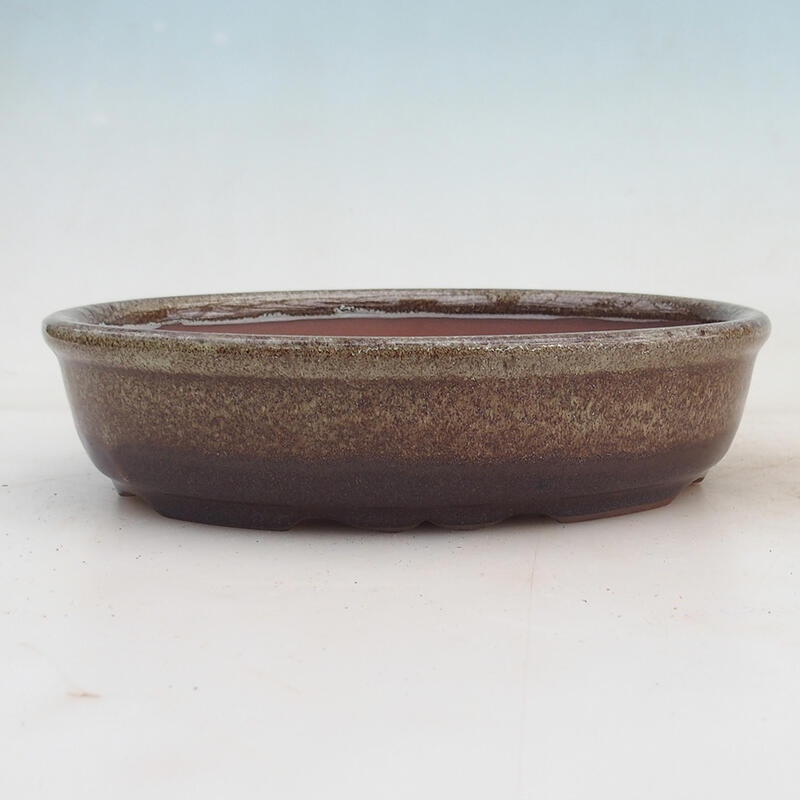 Bonsai bowl 18.5 x 14.5 x 4.5 cm, color brown