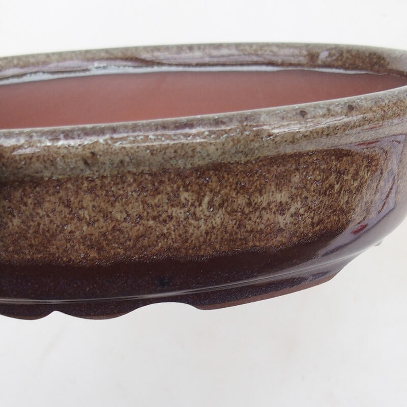 Bonsai bowl 18.5 x 14.5 x 4.5 cm, color brown