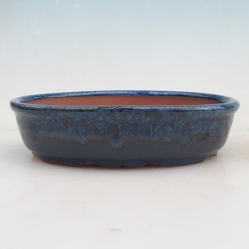 Bonsai bowl 18.5 x 14.5 x 4.5 cm, color blue