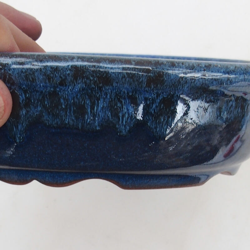 Bonsai bowl 18.5 x 14.5 x 4.5 cm, color blue