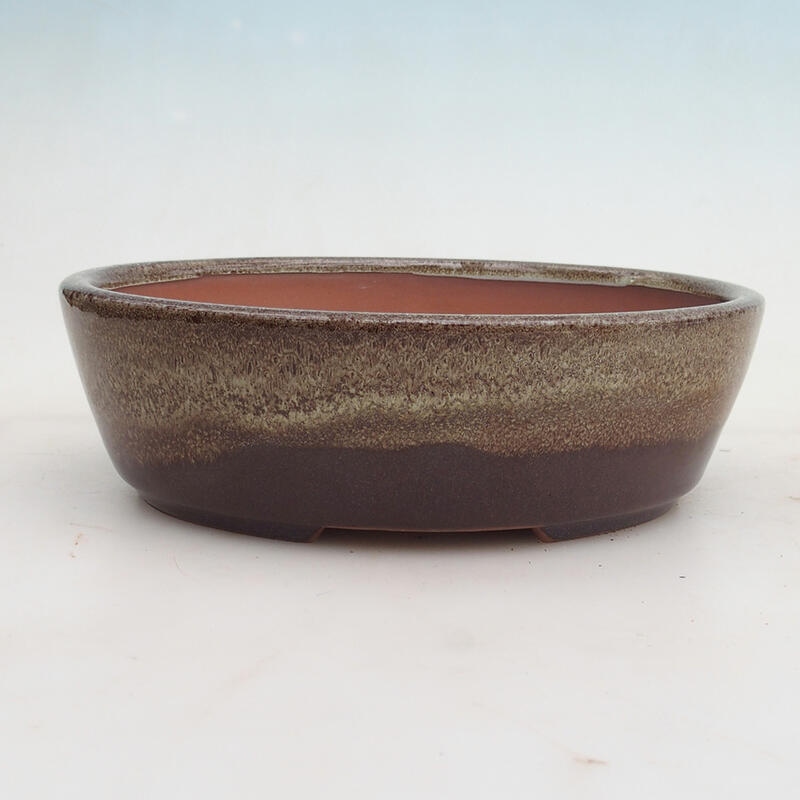 Bonsai bowl 20.5 x 17 x 6 cm, color burgundy