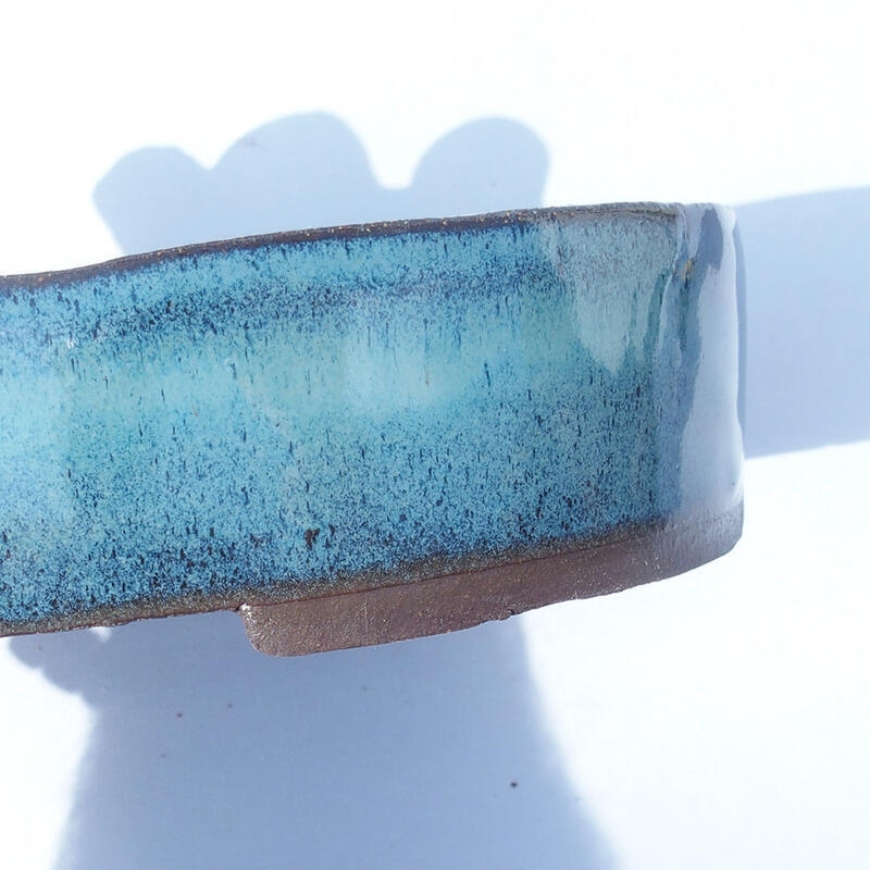 Bonsai bowl 20 x 14 x 4.5 cm color blue