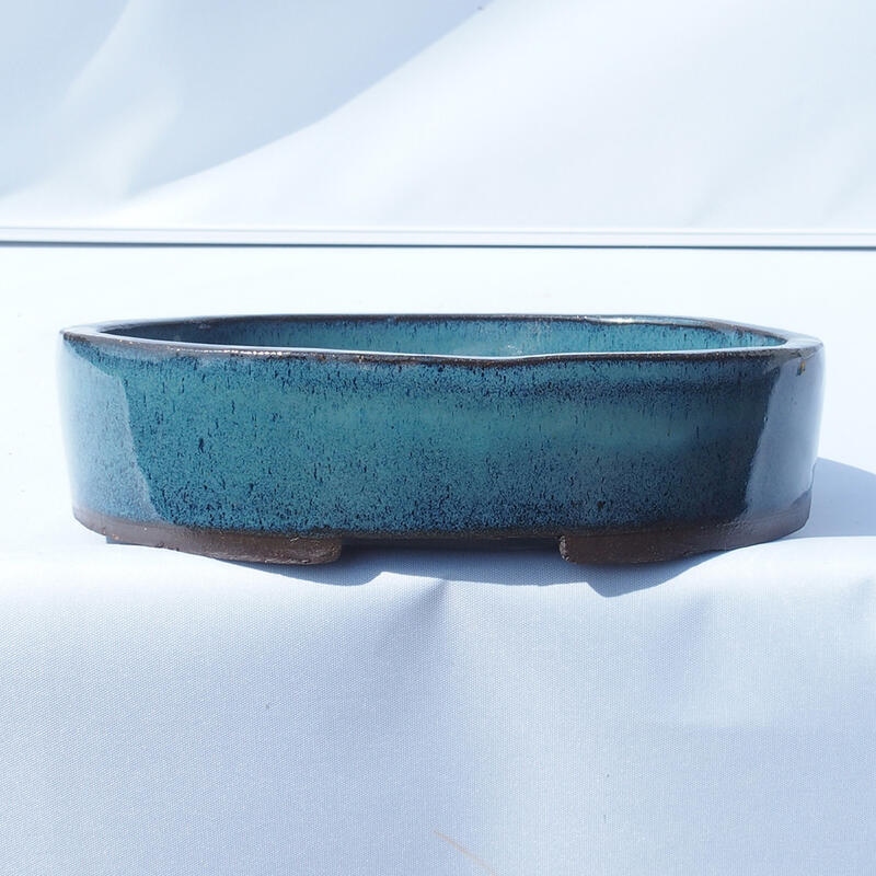 Bonsai bowl 20 x 14 x 4.5 cm color blue