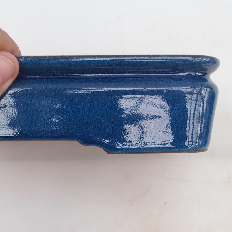 Bonsai bowl 21.5 x 17 x 5.5 cm, color blue