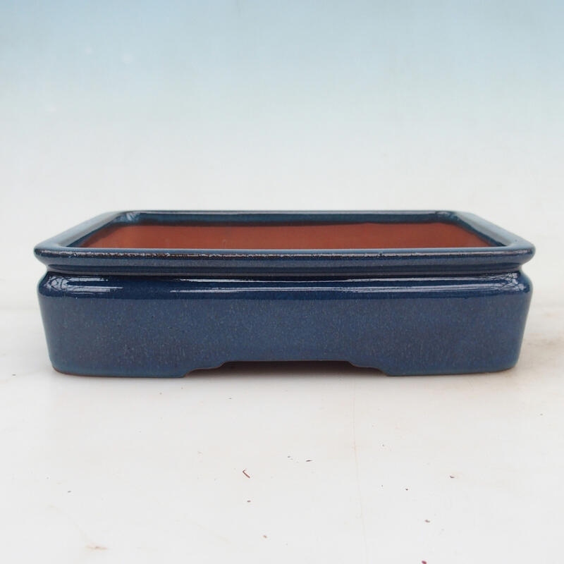 Bonsai bowl 21.5 x 17 x 5.5 cm, color blue