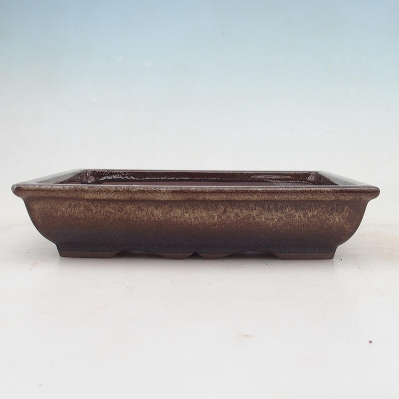 Bonsai bowl 21 x 16.5 x 4.5 cm, color brown