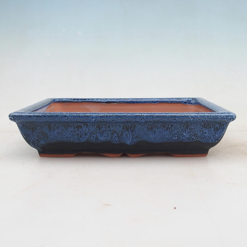 Bonsai bowl 21 x 16.5 x 4.5 cm, color blue