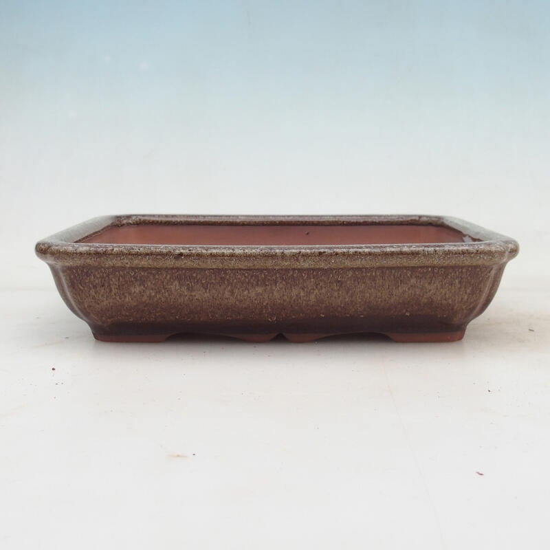 Bonsai bowl 21 x 16 x 4.5 cm, color brown