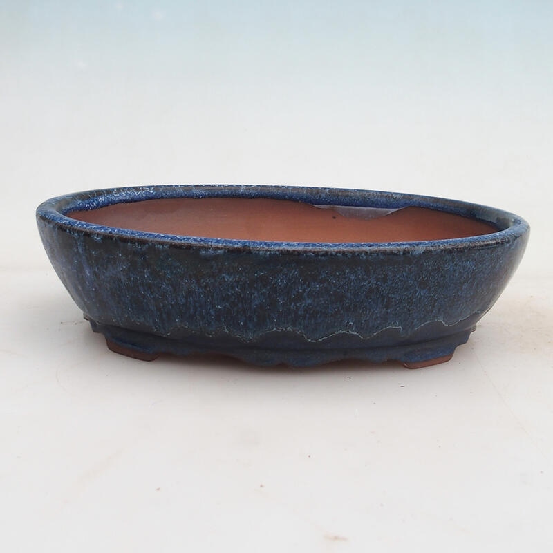 Bonsai bowl 21 x 17 x 5 cm, color blue