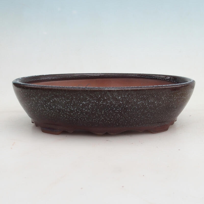 Bonsai bowl 21 x 17 x 5 cm, color gray