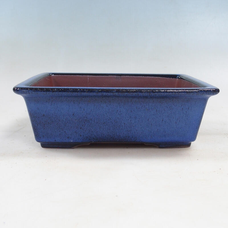 Bonsai bowl 21 x 17 x 6.5 cm, color blue