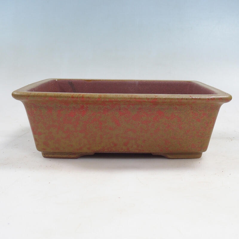 Bonsai bowl 21 x 17 x 6.5 cm, color ocher