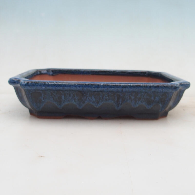 Bonsai bowl 22 x 16.5 x 4 cm, color blue