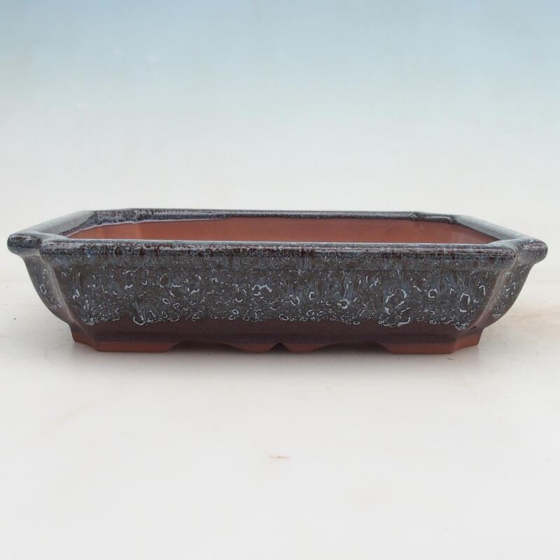 Bonsai bowl 22 x 16.5 x 4 cm, wine color