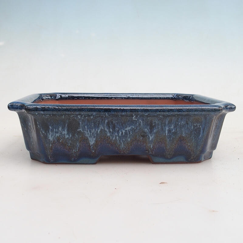 Bonsai bowl 22 x 17 x 5.5 cm, color blue