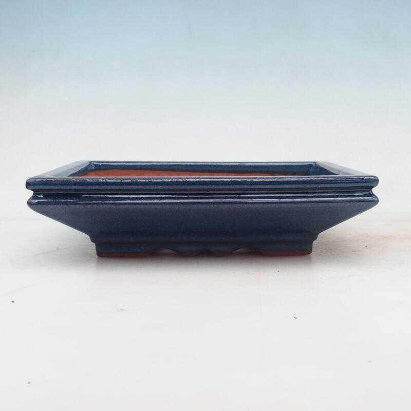 Bonsai bowl 22 x 17 x 5.5 cm, color blue