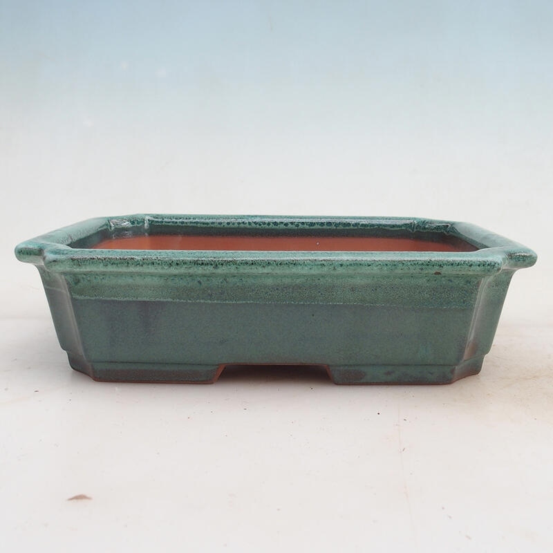 Bonsai bowl 22 x 17 x 5.5 cm, color green