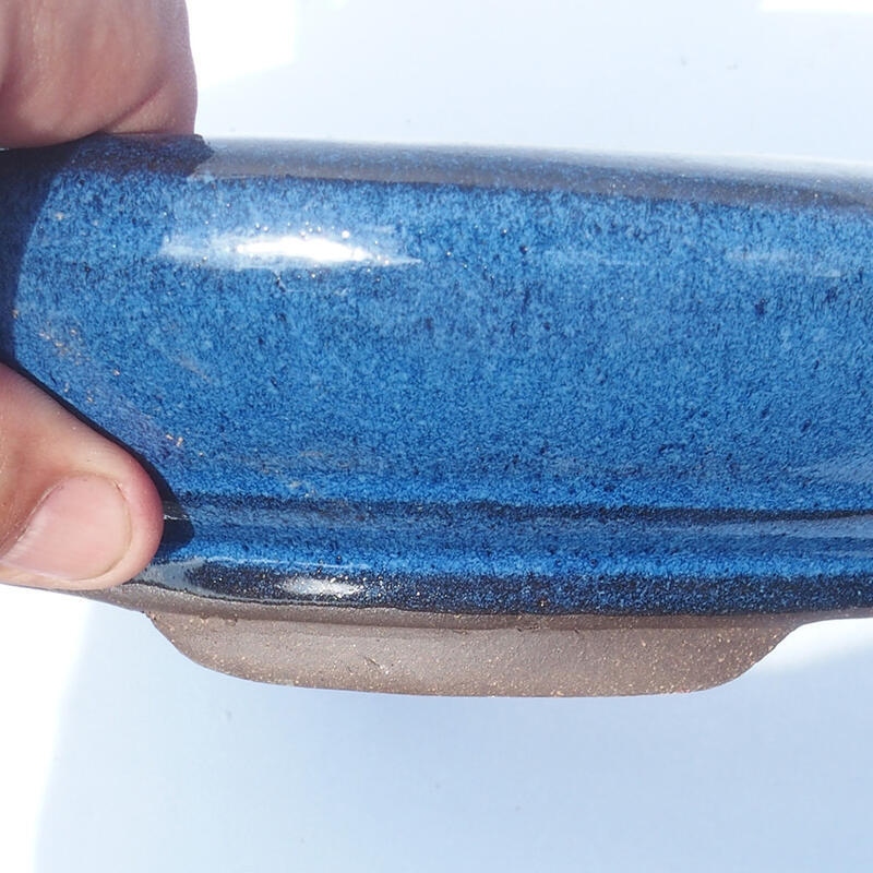 Bonsai bowl 22 x 22 x 5.5 cm color blue