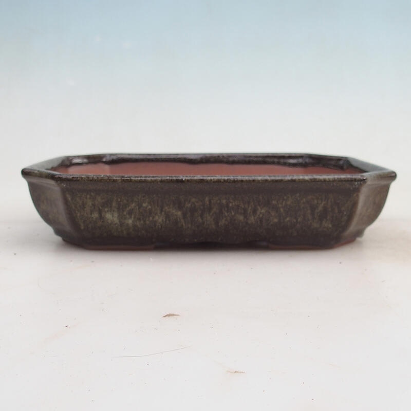 Bonsai bowl 23 x 17.5 x 4.5 cm, color brown