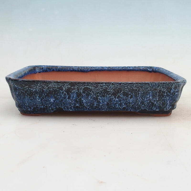 Bonsai bowl 24 x 17 x 5 cm, color blue