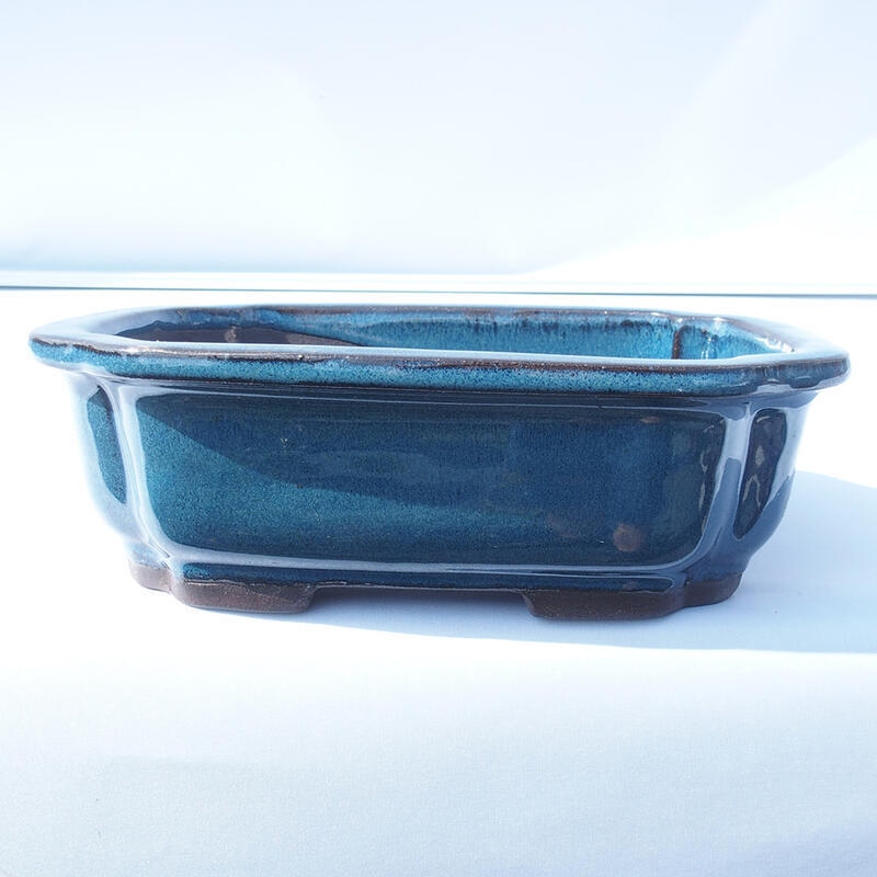 Bonsai bowl 24 x 18.5 x 8 cm color blue