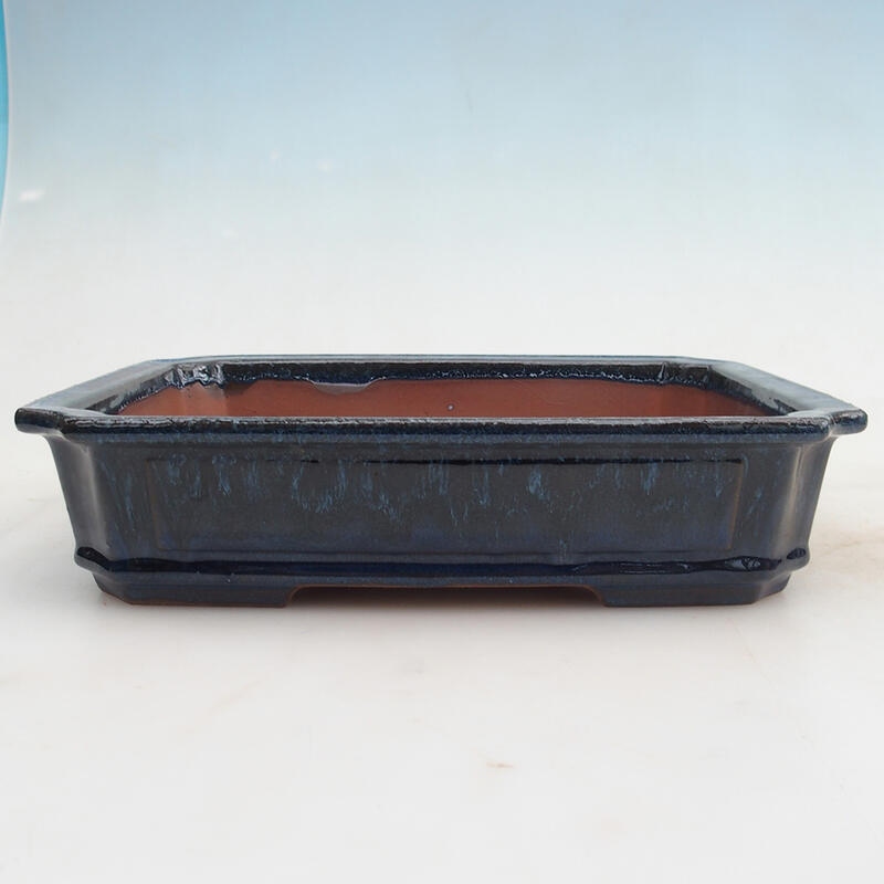 Bonsai bowl 25 x 20 x 6 cm, color blue