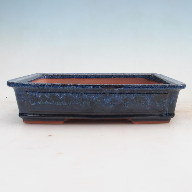 Bonsai bowl 25 x 20 x 6 cm, color blue