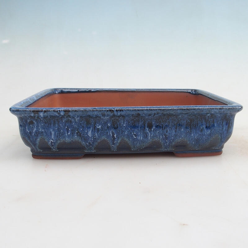 Bonsai bowl 25 x 21 x 5.5 cm, color blue