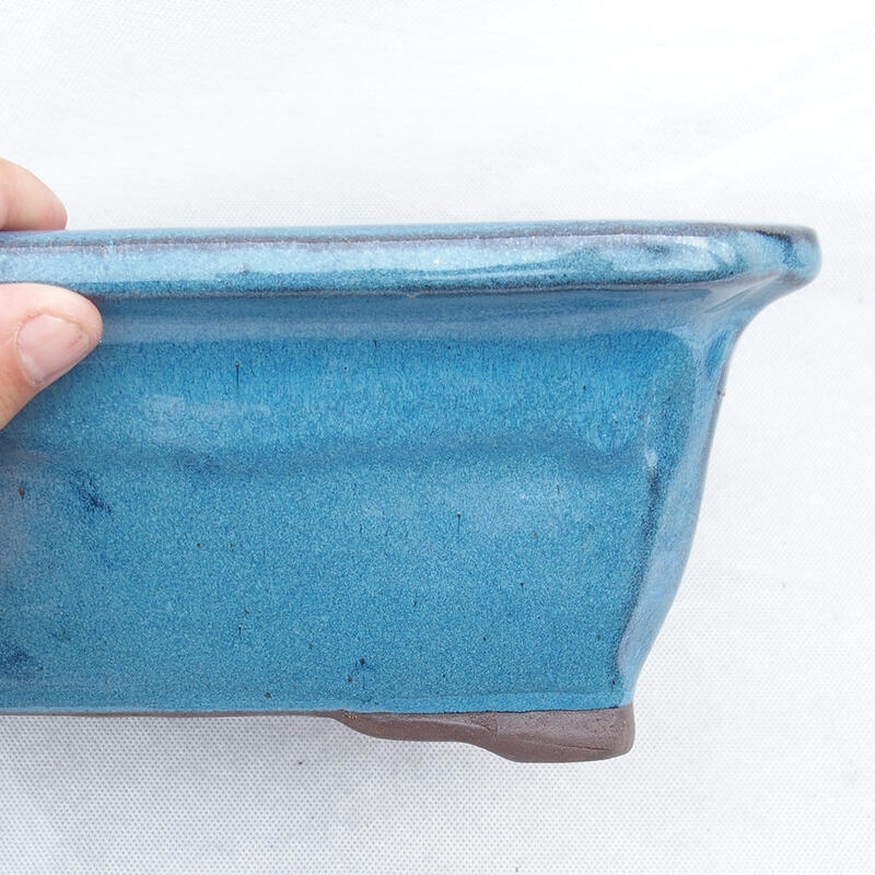 Bonsai bowl 30 x 23 x 10.5 cm, color blue