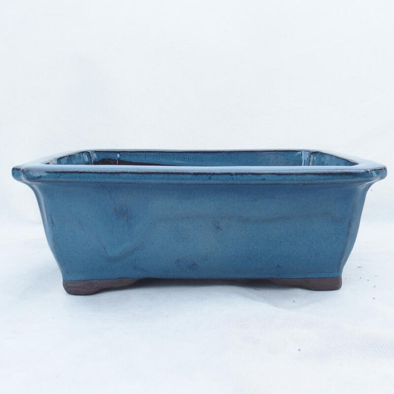 Bonsai bowl 30 x 23 x 10.5 cm, color blue