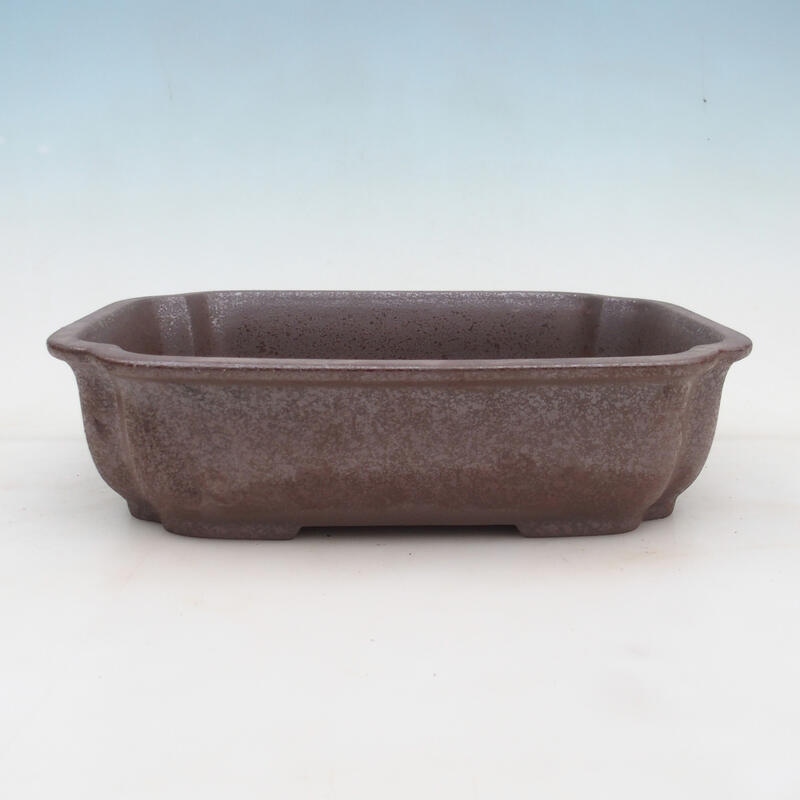 Bonsai bowl 30 x 24.5 x 8 cm, natural color