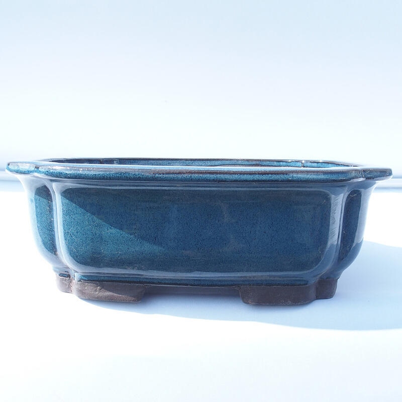 Bonsai bowl 30 x 25 x 10 cm color blue