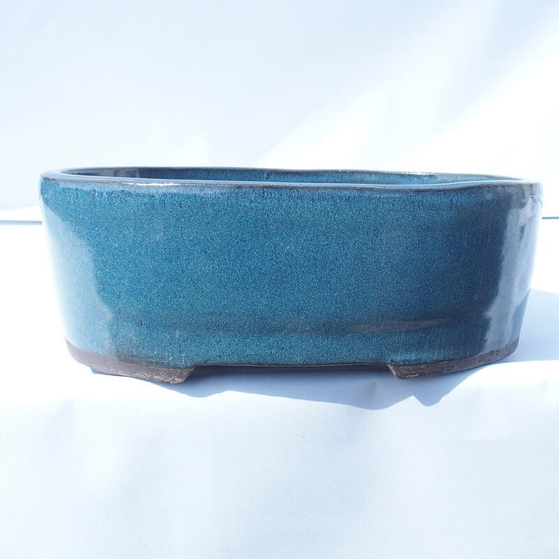 Bonsai bowl 31 x 23 x 11 cm color blue