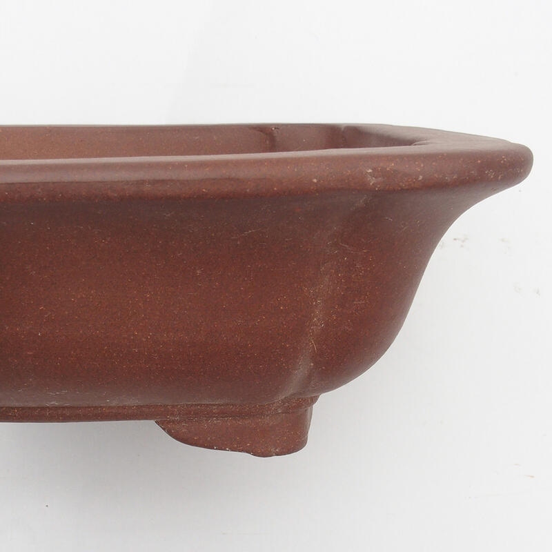 Bonsai bowl 32 x 32 x 11 cm - Japanese quality