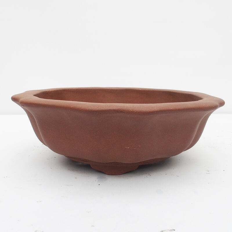 Bonsai bowl 33 x 33 x 10 cm - Japanese quality